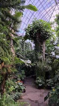 Jungle Vibes & Mansion Stroll | Ott’s Exotic Plants x du Pont