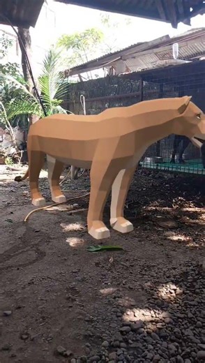 How differce cave lion and America lion