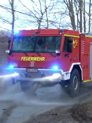 Tatra TLF Feuerwehr Pausa.