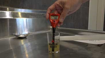 How to Kettle Sour Beer