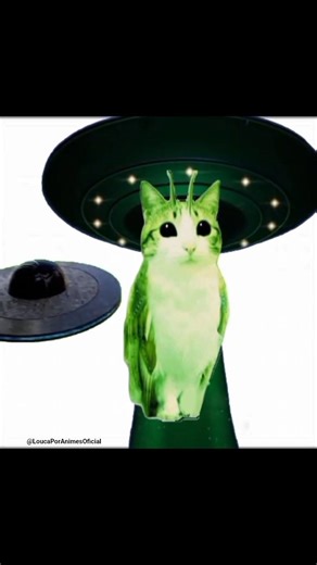 Meowl meme #meowl #fy #meme #gato #coruja #alien #butterfly #cat #capcut #viral