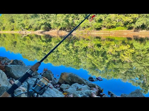 Bank Fishing Deep Rocks with Light Tackle!! (River and Fall Fishing)