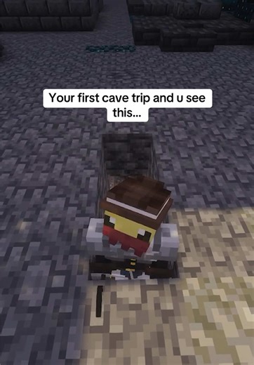 HELL NO #minecraft #fyp