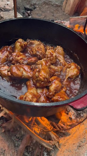 Delicious Chicken Wings Recipe for Camping Adventures