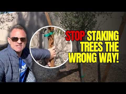 Stop Staking Trees the Wrong Way!