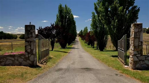 AI says : Mane Lodge is a premier thoroughbred racing, breeding and agistment facility located in Sutton, NSW. Owned and operated by Neil and Denise Osborne since 1986 Situated on 214 acres of improved pasture land along the Yass River.