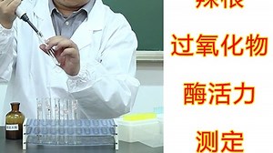 【实验】Eadie-Hofstee作图法测定辣根过氧化物酶的Km和Vmax