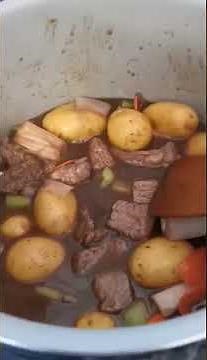 Ninja 15 in 1 Beef Stew