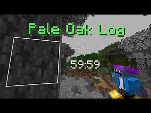 A Datapack Where You can Race to Find Random Items in Minecraft 1.21