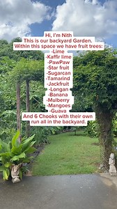 6.4K views · 133 reactions | This is our small back yard garden. I will do the front yard for the next video. Thank you for your support ❤️. | Growwithnith | Facebook