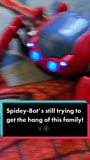 Sparderman Junior Exploring Marvel Legends with Spidey-Bot