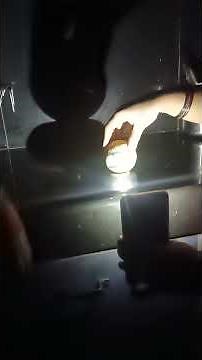 How Day and Night Works | Easy Science Experiment for Kids