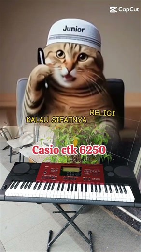 Casio ctk 6250