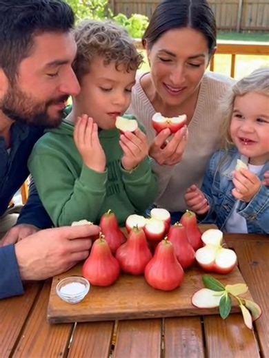 Growing Wax Apple Trees in Warm Climates