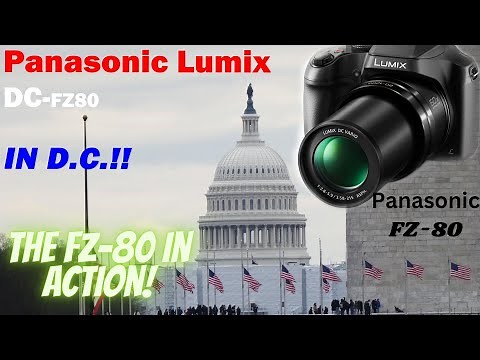 The Panasonic FZ-80 camera --Review with photo & video samples