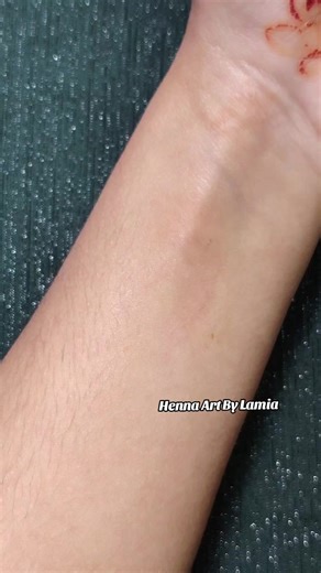 Stunning Henna Art Designs by Lamia