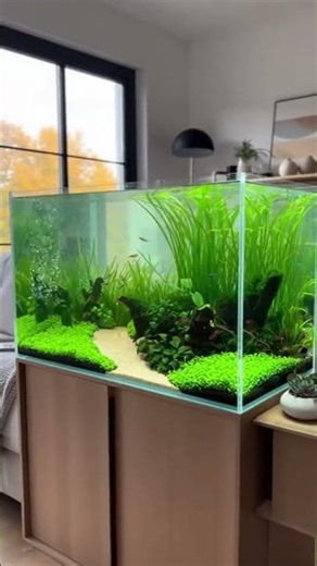 Natural materials for a healthy aquarium environment with simple materials