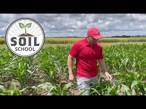 Soil School: How nutrients move and the impact on fertilizer management