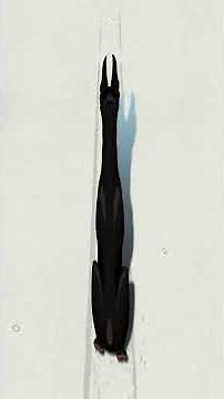 Fall Out Boy - So Good Right Now (Official Audio)