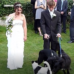 6.1M views · 5.6K reactions | LOL these wedding fails will seriously...