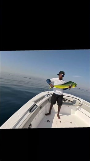 Fishing in UAE – Catch, Smile & Release 🌊 #2026 #fishing