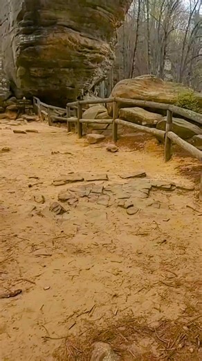 This stunning natural bridge is located deep in Kentucky. Location in comments. #naturelovers #ScenicViews #adventuretravel #hikingadventures | The Nature Seeker