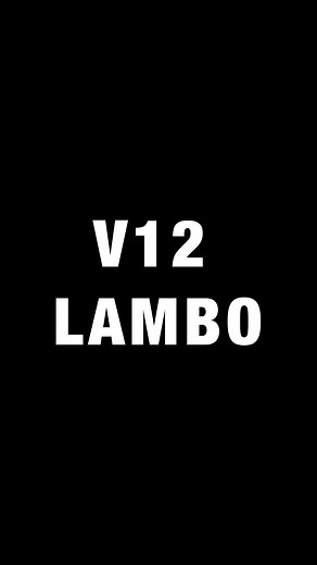 The Lamborghini Marine V12 The first known use of a Lamborghini V12 engine in a boat occurred in 1969, when Lamborghini founder Ferruccio Lamborghini had two of his own V12s fitted to his Riva Aquarama, a luxurious Italian powerboat often seen plying the waters of Lake Como. It wouldn’t be until over 10 years later that Lamborghini would develop official marine versions of their V12s, thanks entirely to the Swiss brothers Jean-Claude and Patrick Mimran who took over the company in 1980 to guide