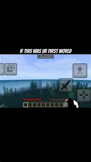 Minecraft's Most INSANE Spawn!