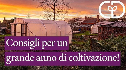 Uno sguardo al passato e al futuro: i miei 10 consigli migliori