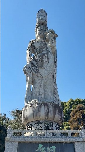 私は病気【 リュウマチ性多発筋痛症 】プレドニン(ステロイド) 減薬になったけど…