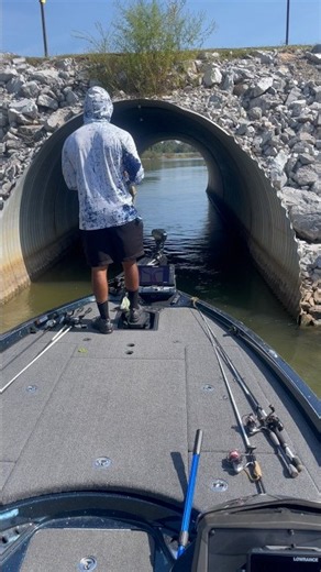 Lake Logan Martin Bass Tournament 🔥 #swanginpolestv #fishing #sptv #bassfishing #lakeloganmartin