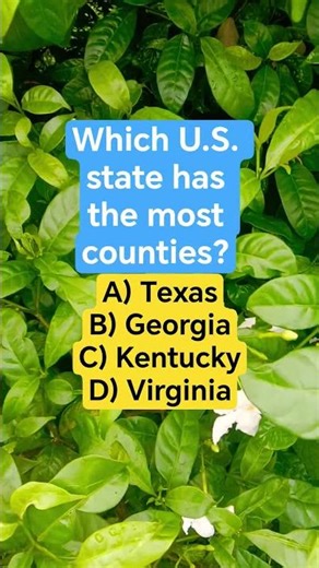 Which U.S. state has the most counties?
