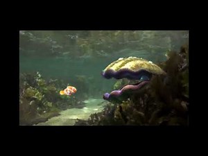 Finding Dory: Clam