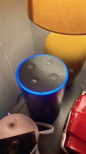 Alexas are talking driving lesson￼