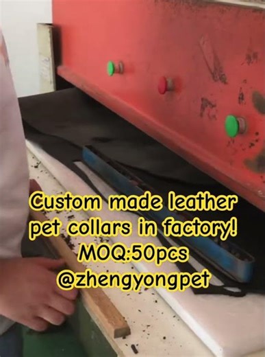 Custom made leather pet collar #petproducts #petcollar #dogcollar #leatherdogcollar #custommade #oem