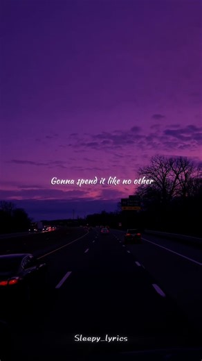 Lush life - Zara Larsson | Lyrics | Aesthetic | WhatsApp status | English song #music #lyrics