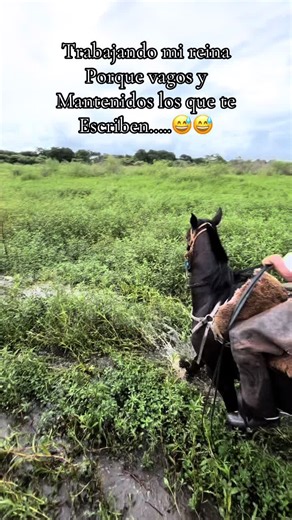 Videos de morocho (@morocho4401) con “som original - md.ódio de🇩🇪”