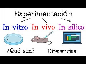 🧫 In Vitro, In Vivo, In Silico 🐭 What Are They? 🧪 Differences 💻 [Easy & Fast] | BIOLOGY |