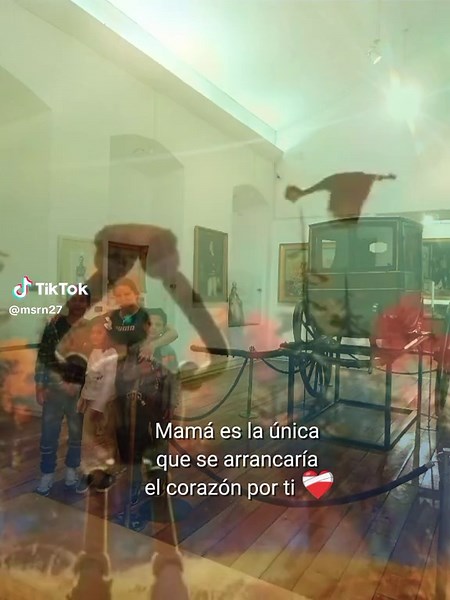 mientras exista los cuidare como roz hizo con brillitos nadie me enseñó como ser mamá solo improviso los enseñaré a volar aunque yo no tenga alas ✨❣️👑#CapCut #mamade3 #Amor