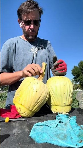 Transforming Pumpkins with Molds - A Unique Harvest!