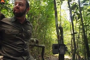 861K views · 22K reactions | The Madagascar Giant Part 7- हिन्दी डॉक्यूमेंट्री #animals #wildanimals #Jungle #documentary #WildlifeTelecast | Beyond The Wild | Facebook