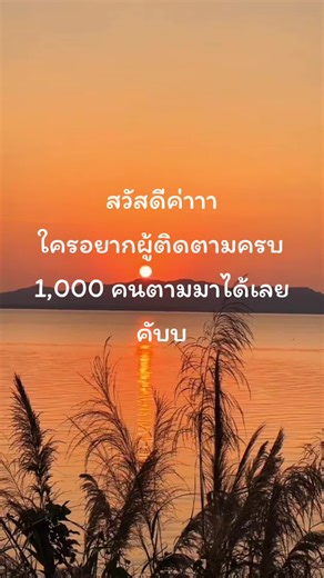 #เพิ่มเพื่อน #นายหน้าtiktokshop #ตามมาตามกลับ #ฟีดดดシ #ฟีด