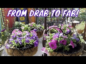 Planting Petunias in Hanging Baskets