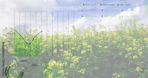 Footage starting, farm overlays growing over yellow field showing charts and gauge for crop data