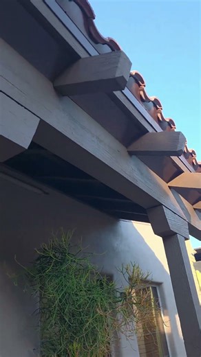 Bird netting up 4Logan no birds allowed here! #4logan #net #birdnet #pestcontrol #arizona