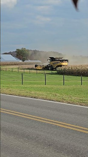 Mennonites Harvesting Soybeans on Our Farm