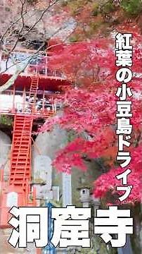 Enjoy a drive through the autumn leaves and giant rocks! The ultimate Shodoshima sightseeing expe...
