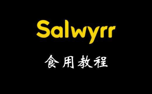 Salwyrr安装教程