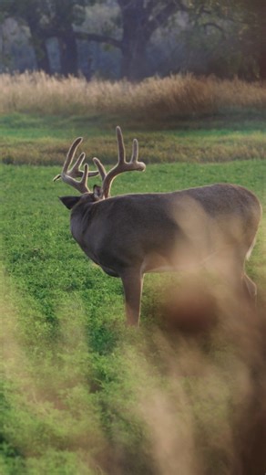 1.7K views · 63 reactions | What’s one of our favorite things to do? It’s flingin’ arrows from our Mathews Archery, Inc. bows!!  #bowhunting #archery #mathewsarchery #hunting | HeadHunters TV | Facebook