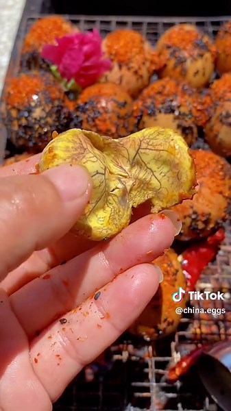 TikTok Creator Search Insights: Tips & Trends